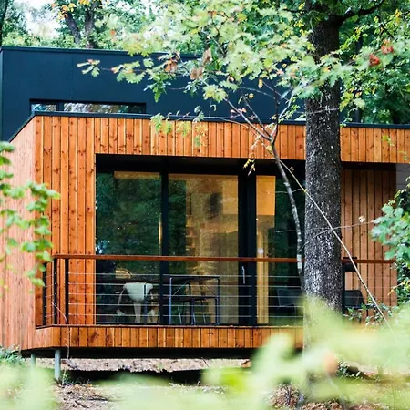 Forest Cube Reconnect * Petit Mesnil