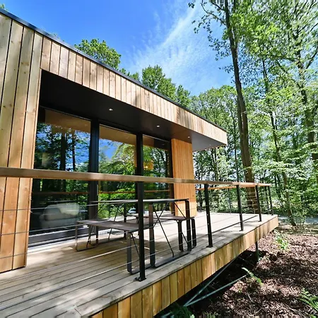 Forest Cube Reconnect * Petit Mesnil