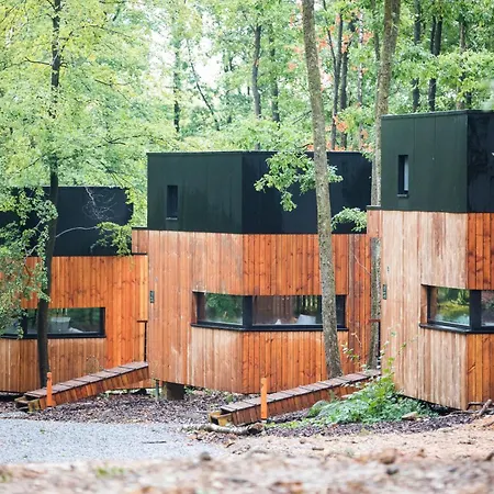 Tatil Evi Forest Cube Reconnect